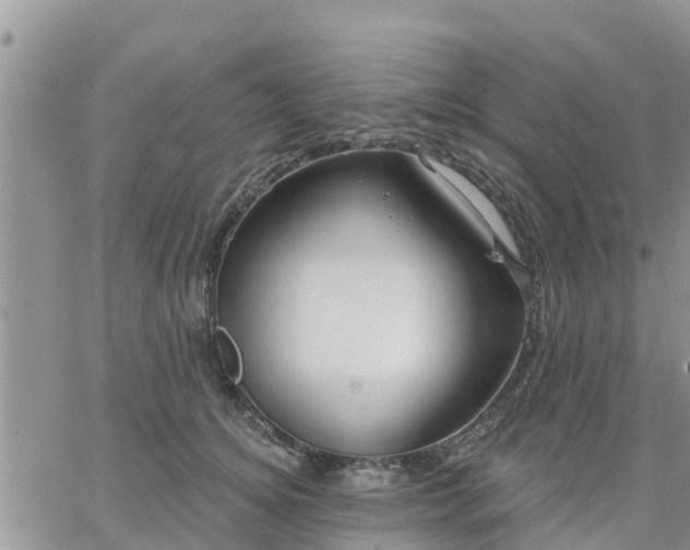 X0000064740756200602171707