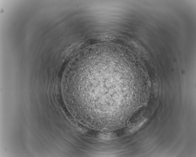 X0000064740757200602171707