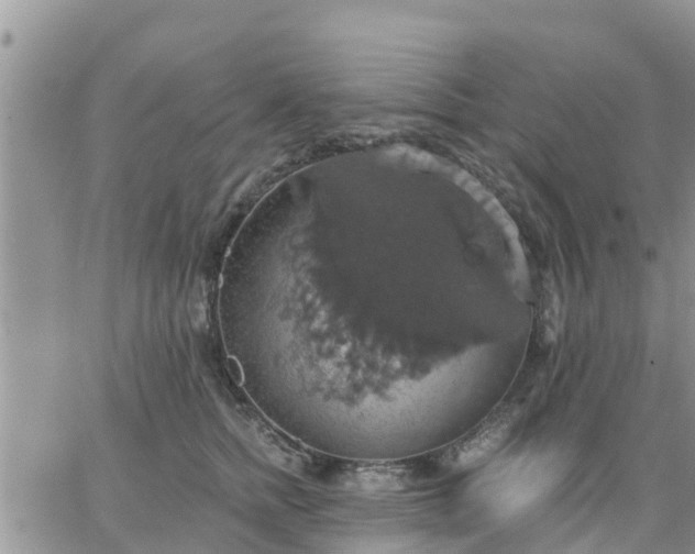 X0000064740758200602171707