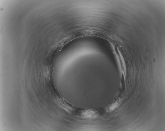 X0000064740759200602171707