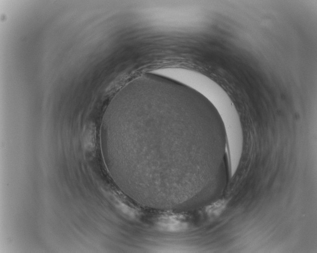 X0000064740760200602171707