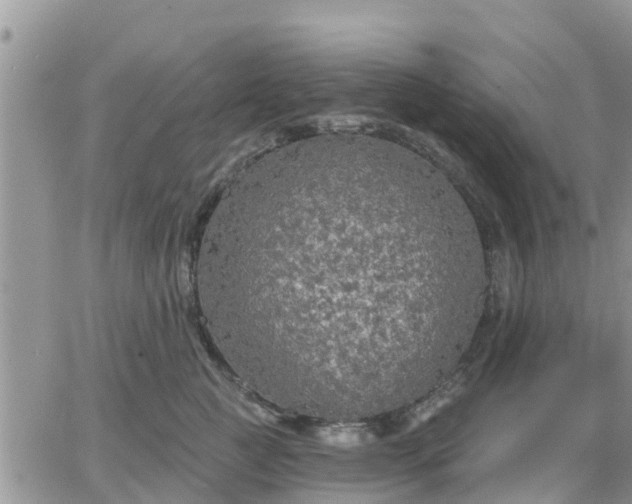 X0000064740761200602171707