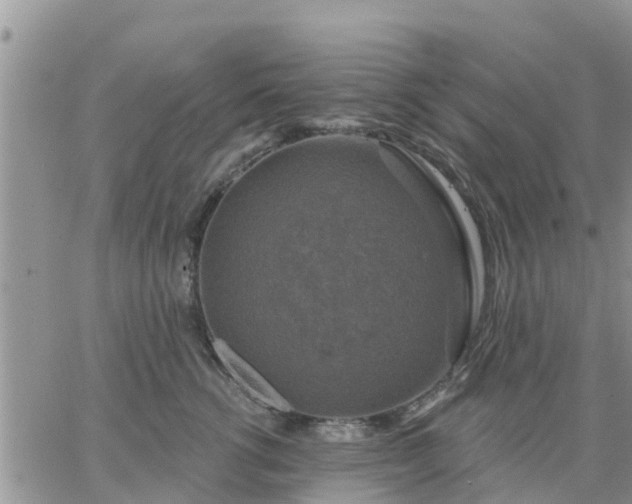 X0000064740762200602171707