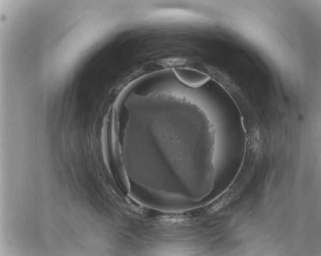 X0000064740763200602171707