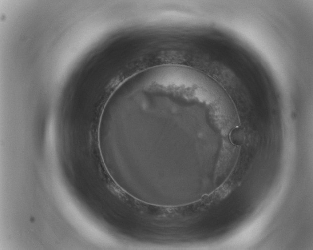 X0000064740765200602171707