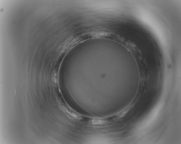 X0000064740766200602171707