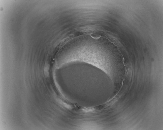 X0000064740767200602171707