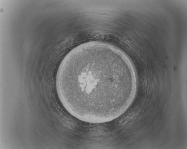 X0000064740769200602171706