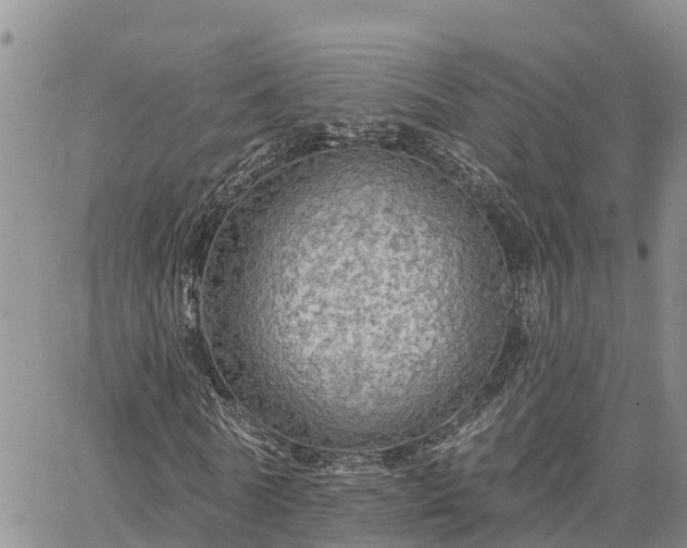 X0000064740770200602171706