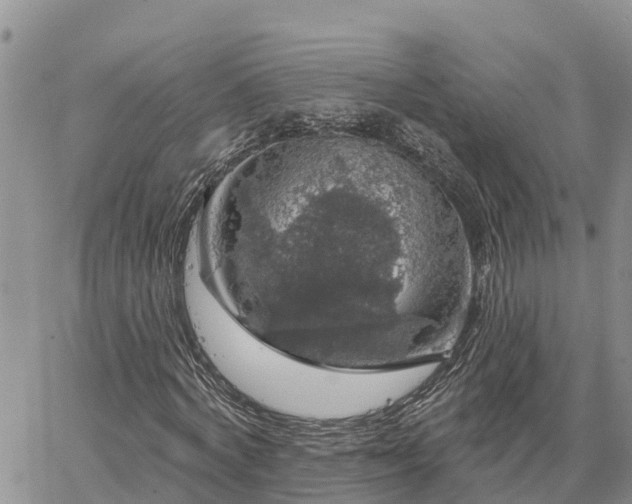 X0000064740772200602171706