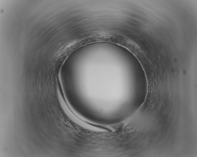 X0000064740773200602171706