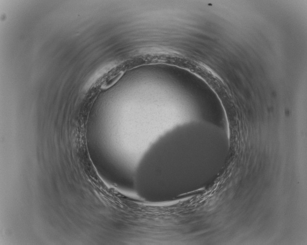 X0000064740775200602171706