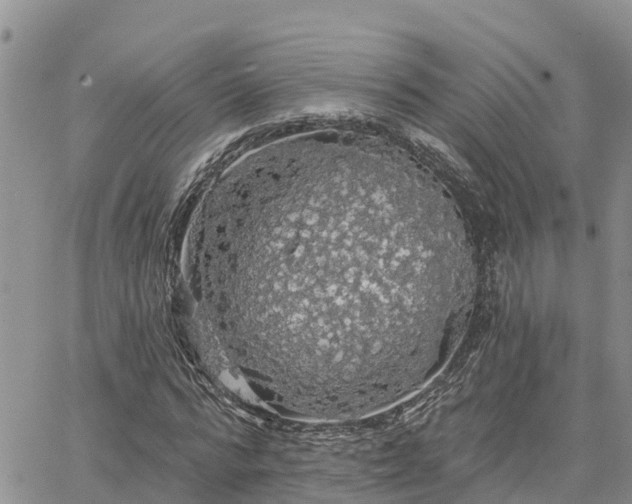 X0000064740776200602171706