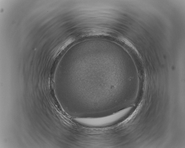 X0000064740777200602171706