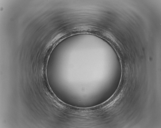 X0000064740778200602171706