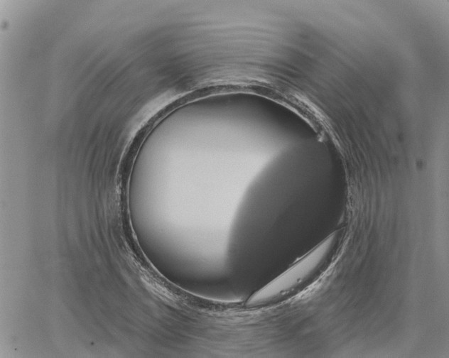 X0000064740779200602171706