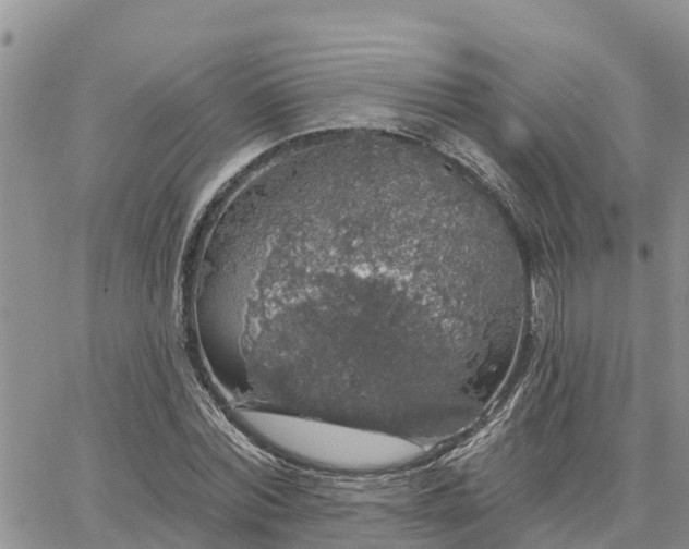 X0000064740780200602171706