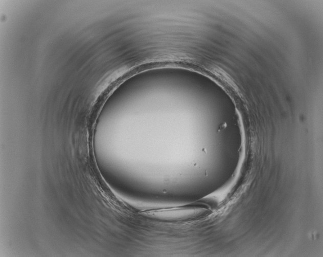 X0000064740781200602171706