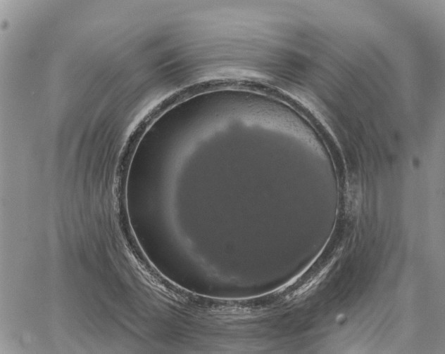 X0000064740783200602171706