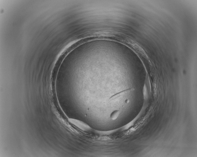 X0000064740784200602171706