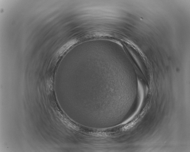 X0000064740785200602171706