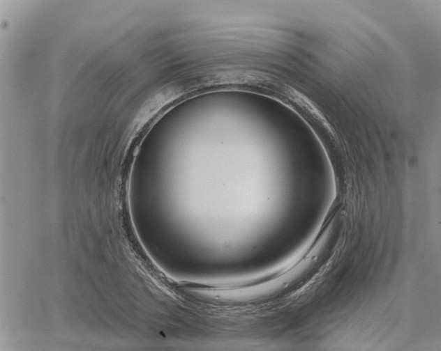 X0000064740786200602171706