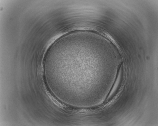 X0000064740787200602171706