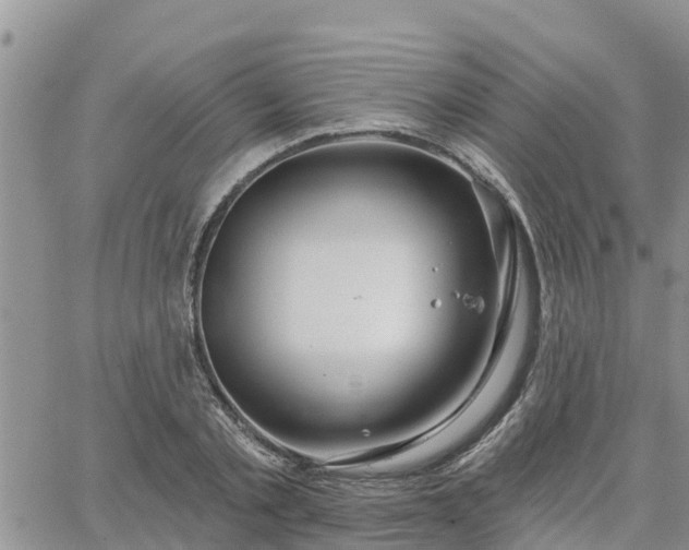 X0000064740789200602171706