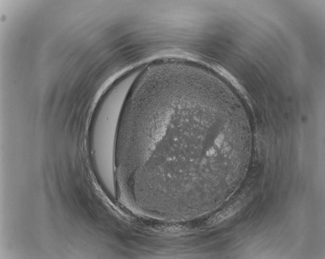 X0000064740791200602171706