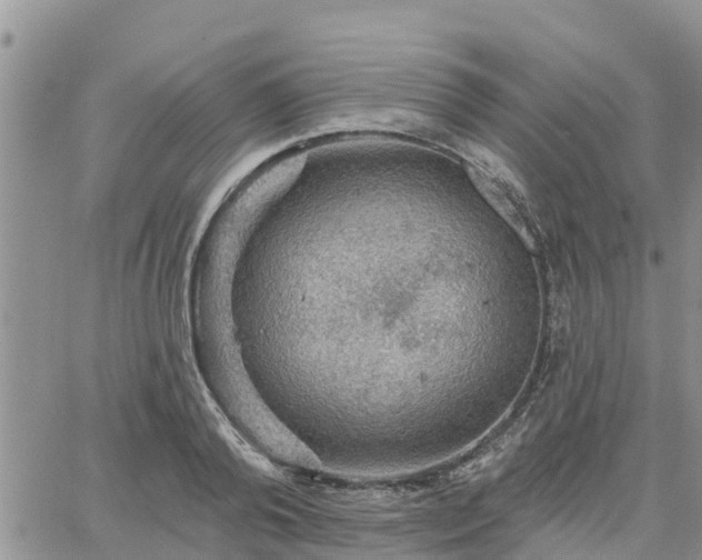 X0000064740792200602171706