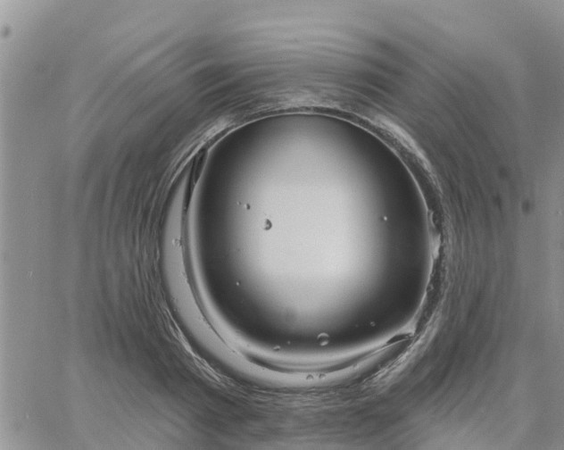 X0000064740793200602171706