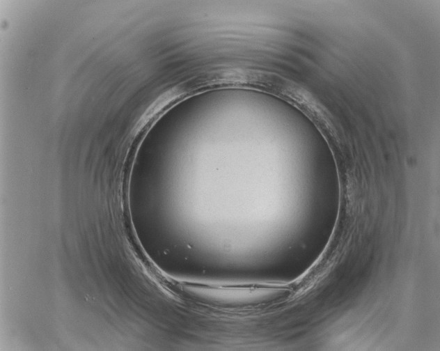 X0000064740794200602171706