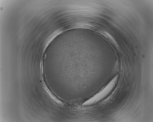 X0000064740796200602171706