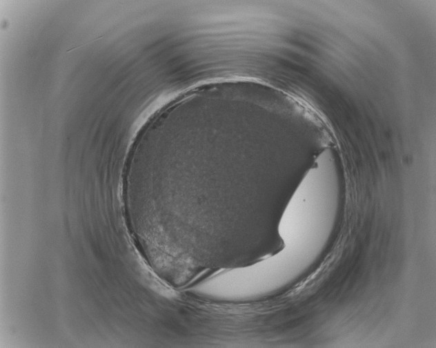 X0000064740797200602171706