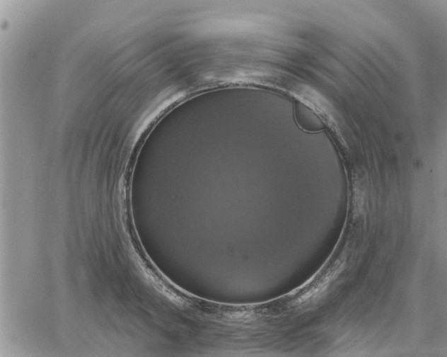 X0000064740798200602171706