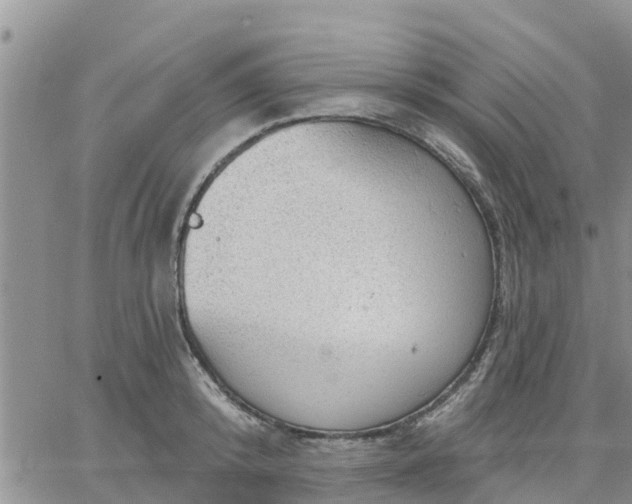 X0000064740800200602171706