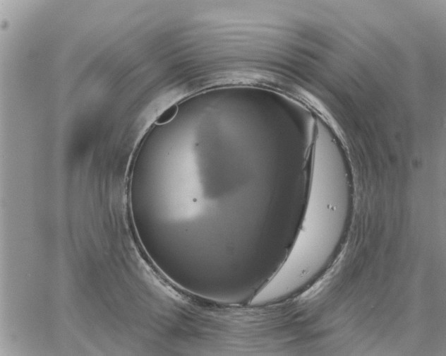 X0000064740802200602171706