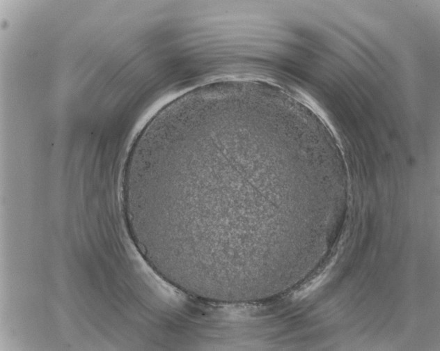 X0000064740803200602171706