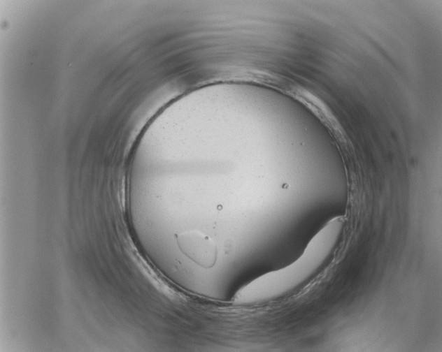 X0000064740804200602171706