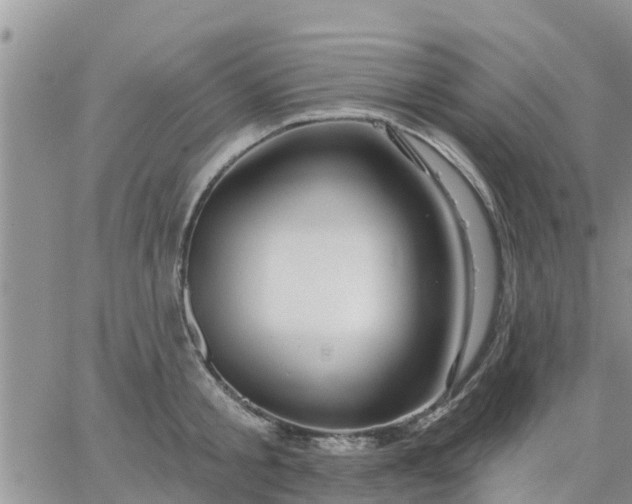 X0000064740805200602171706