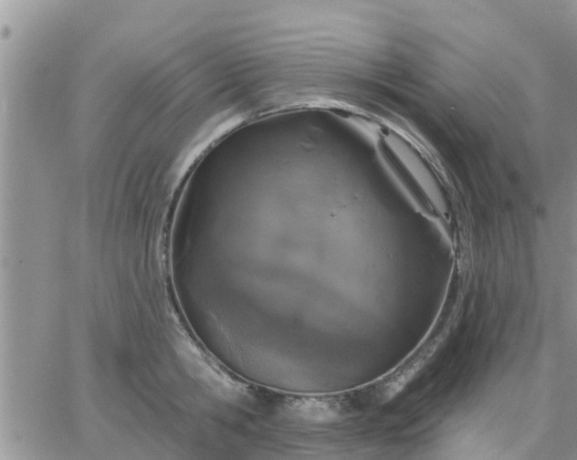 X0000064740806200602171706