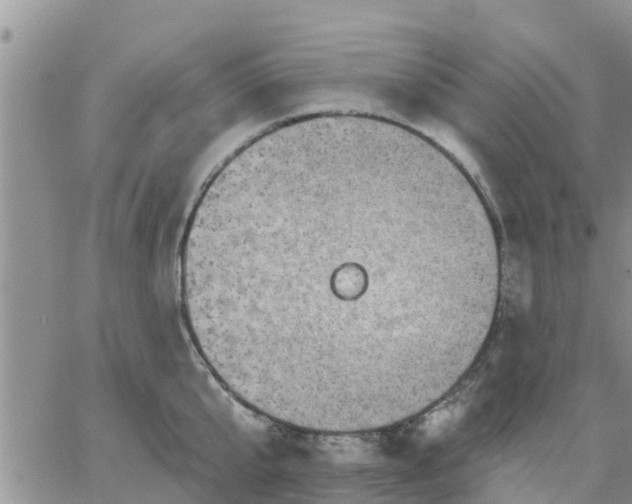 X0000064740807200602171706