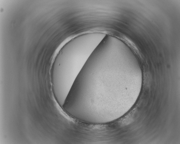 X0000064740808200602171706