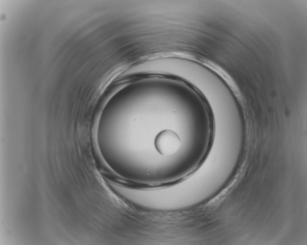 X0000064740809200602171706