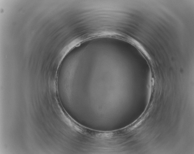 X0000064740810200602171706