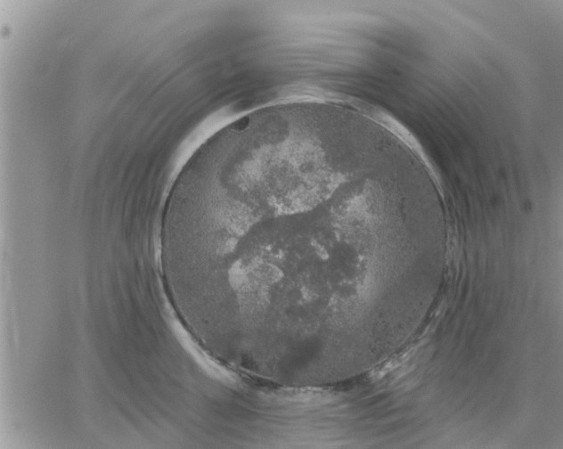 X0000064740811200602171706