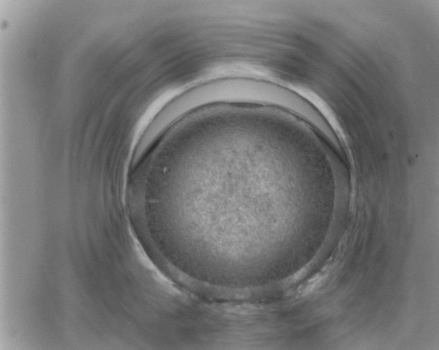 X0000064740815200602171706