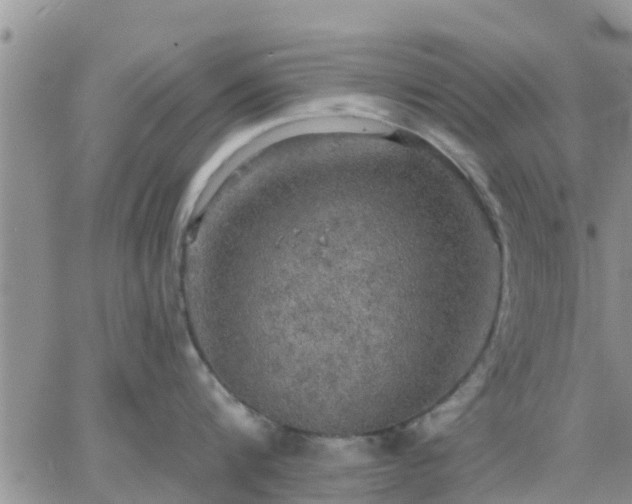 X0000064740816200602171706