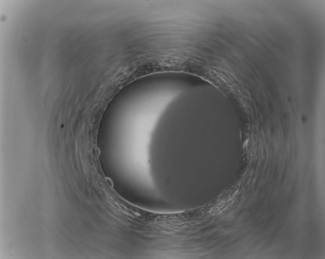 X0000064740817200602171705