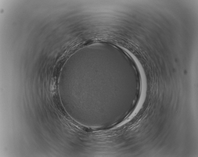 X0000064740818200602171705